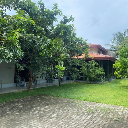 Negombo 146 Homestay מראה חיצוני תמונה