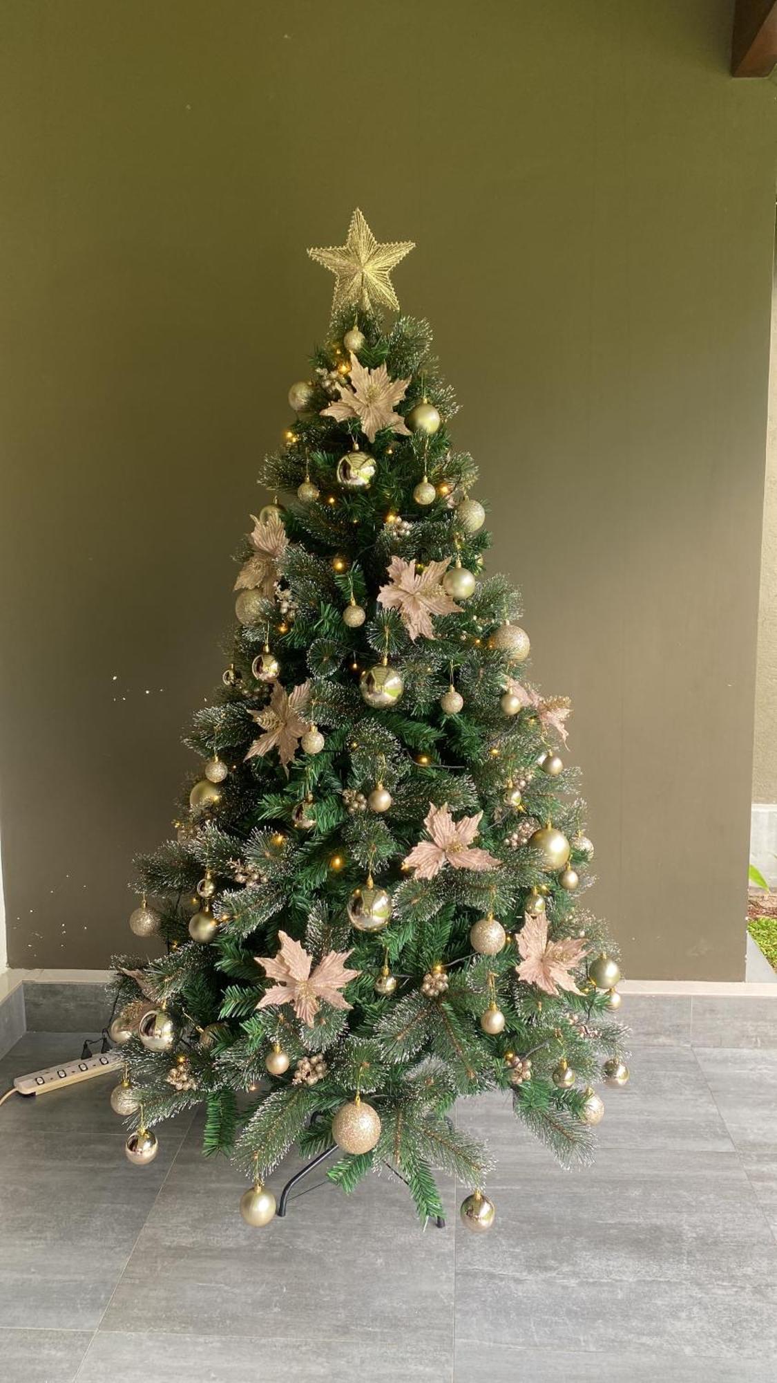 Negombo 146 Homestay מראה חיצוני תמונה