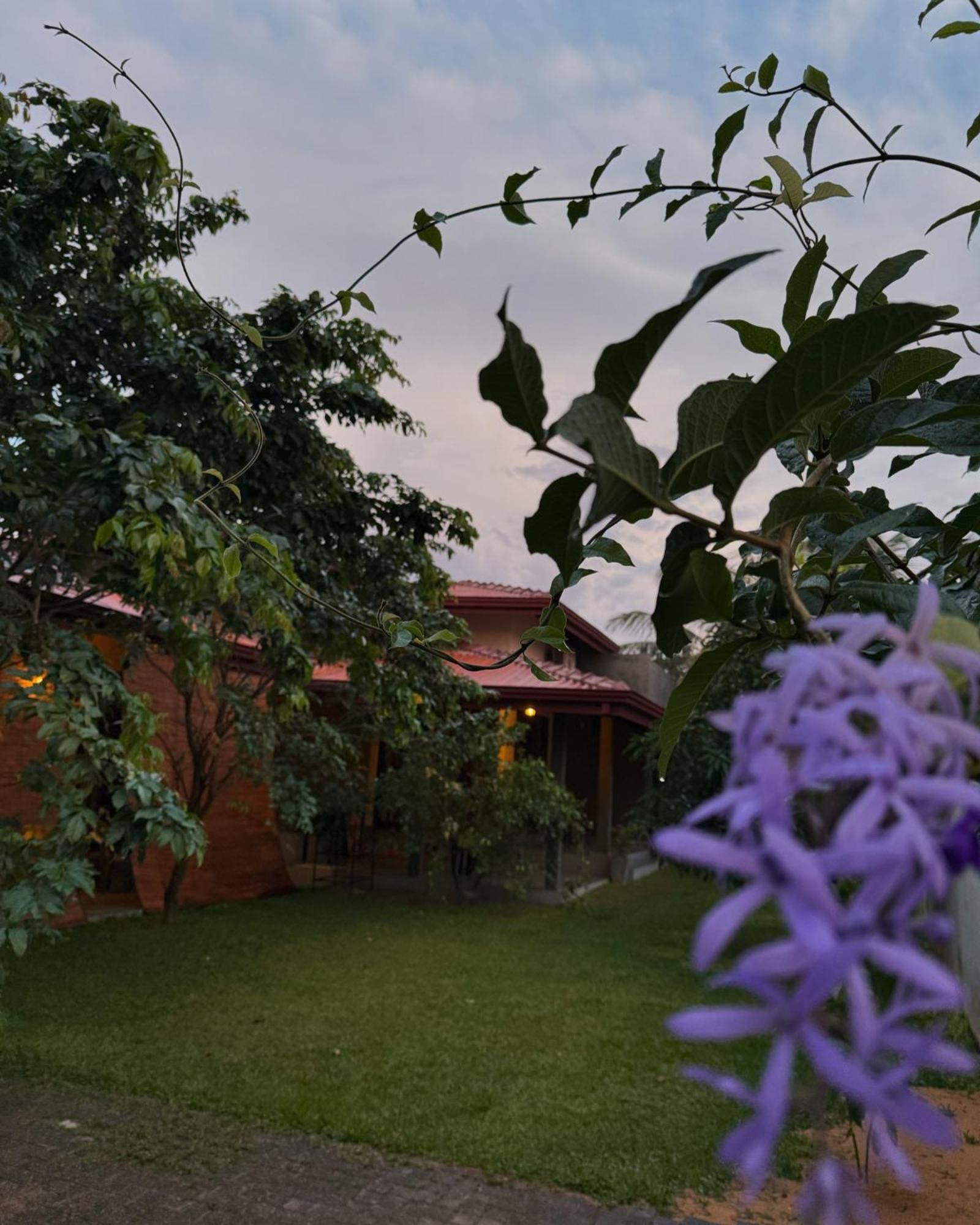 Negombo 146 Homestay מראה חיצוני תמונה